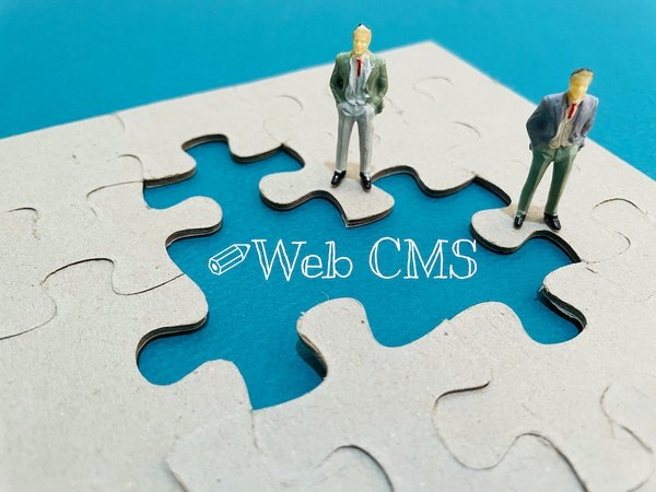Les systèmes de gestion de contenu : Les CMS les plus populaires et leurs fonctionnalités